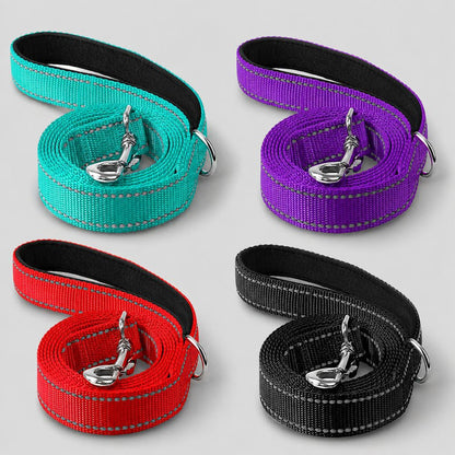 quatre modèles de laisse chien en turquoise violet rouge et noir sur fond gris clair
