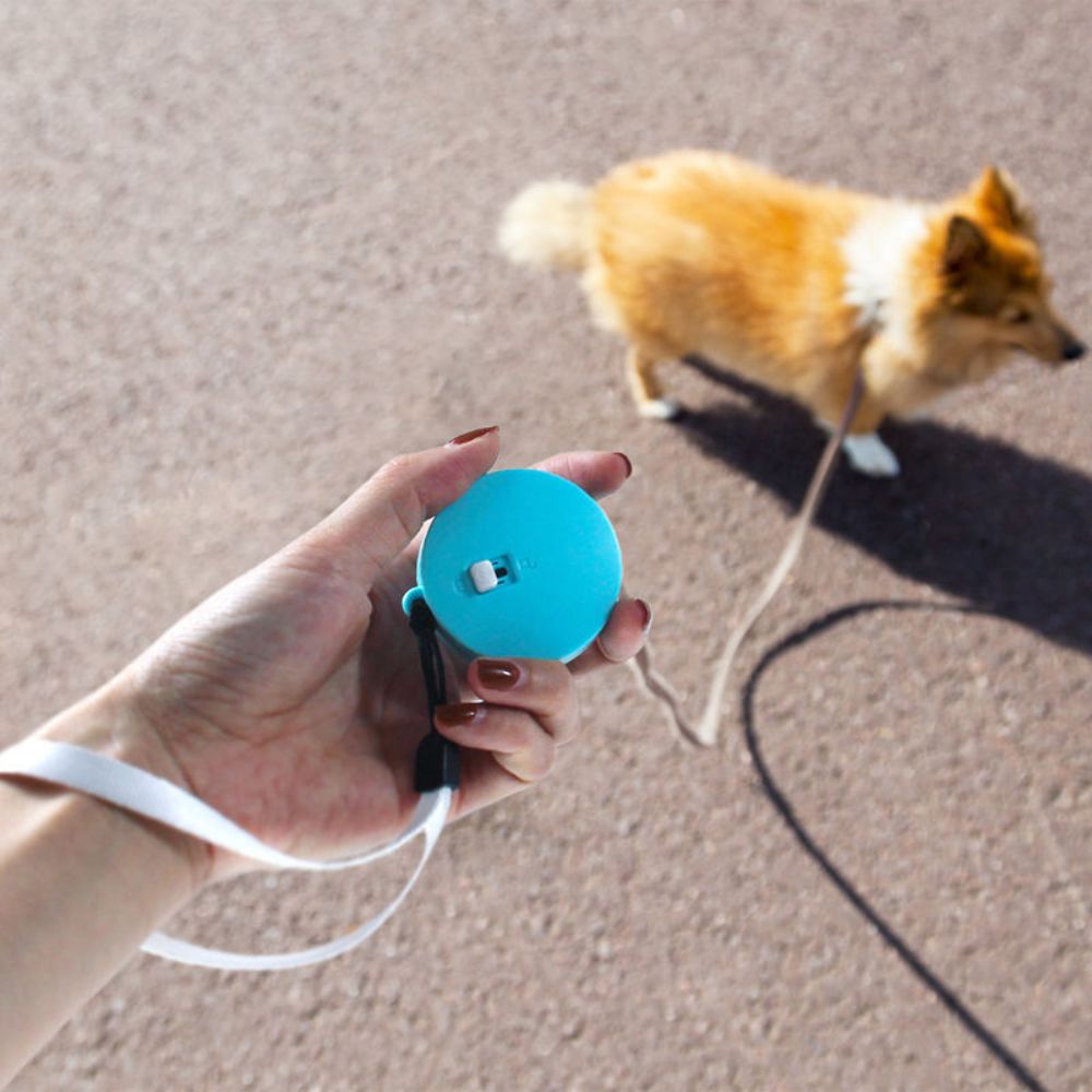 main tenant une laisse chien enrouleur offrant un contrôle simple et léger lors de la promenade