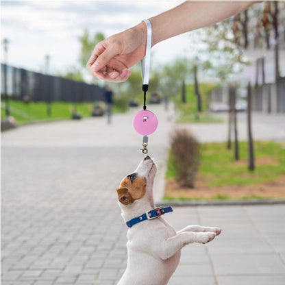 chiot découvre une laisse chien enrouleur idéale pour l’apprentissage et les sorties quotidiennes