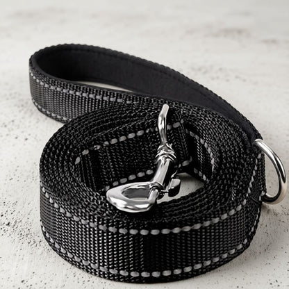 laisse chien noire en nylon solide