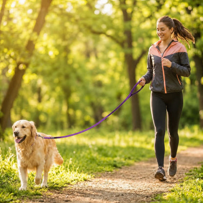 femme marchant avec golden retriever équipé d’une laisse chien violette lors d’une balade en forêt