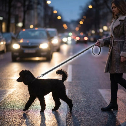 femme traversant la rue avec caniche noir tenu par une laisse chien réfléchissante visible la nuit
