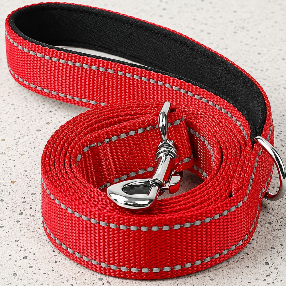 laisse chien rouge avec mousqueton en métal