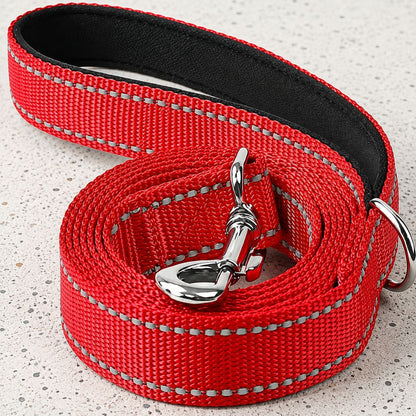 laisse chien rouge avec mousqueton en métal