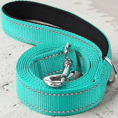 laisse chien turquoise 