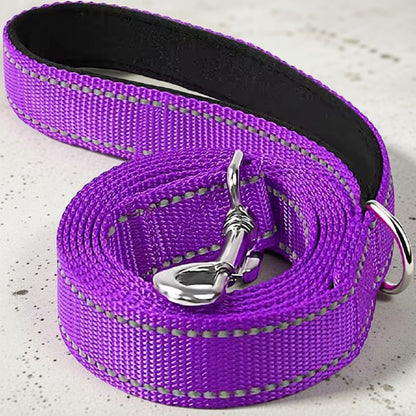 laisse chien en violet avec une poignée ergonomique