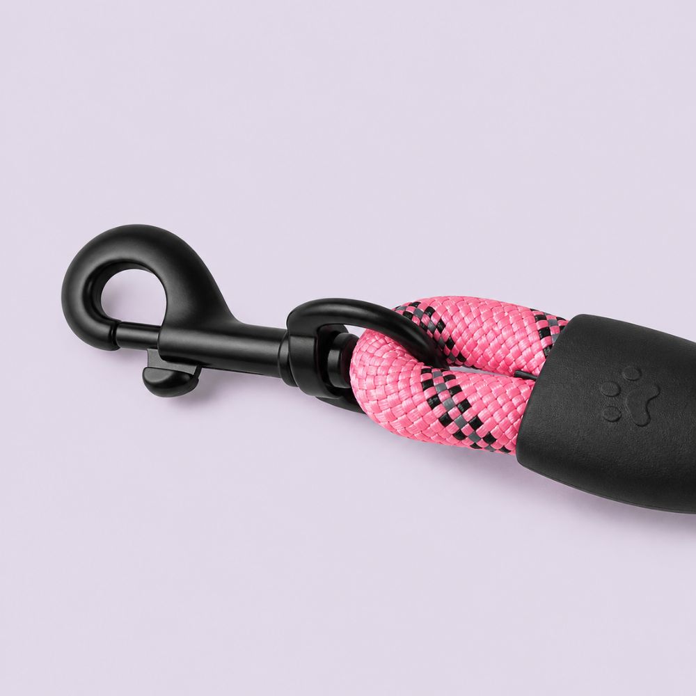 mousqueton robuste de laisse de chien permettant une attache sécurisée au collier