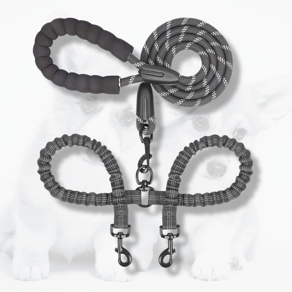 laisse double pour chien noire avec poignée rembourrée et double attache sur fond clair professionnel