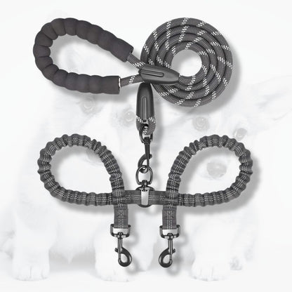 laisse double pour chien noire avec poignée rembourrée et double attache sur fond clair professionnel