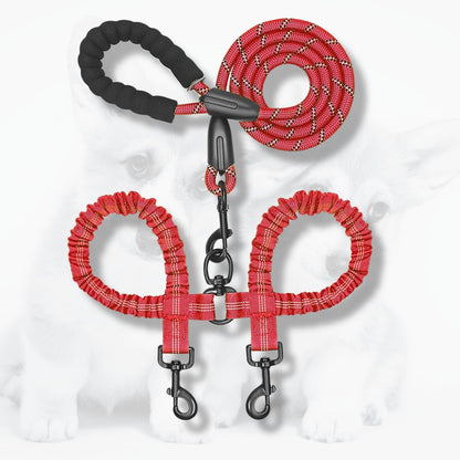 laisse double pour chien rouge avec cordes amortissantes et double mousqueton sur fond clair