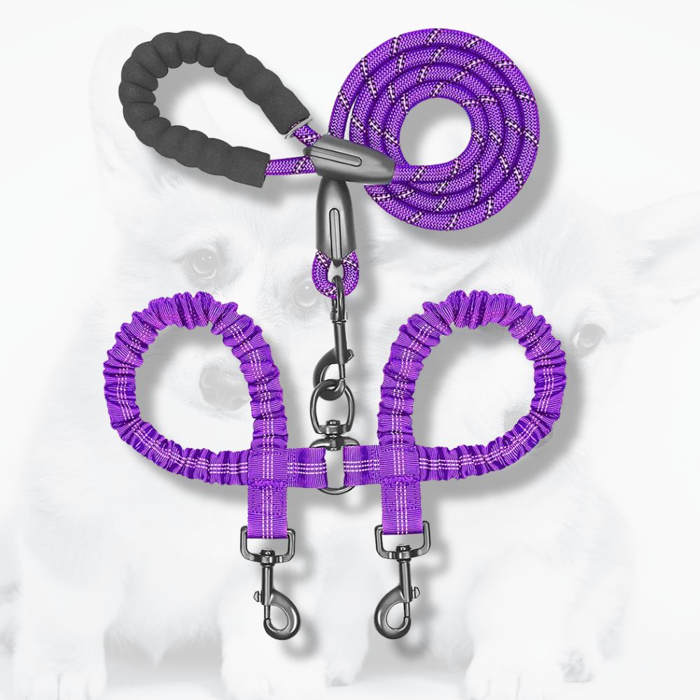 laisse double pour chien violette avec poignée confortable et cordes extensibles pour deux chiens