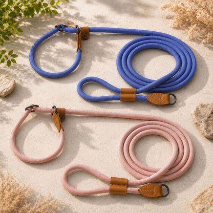 détail du système coulissant d’une laisse lasso pour chien bleue avec golden retriever flou en arrière-plan