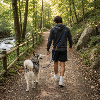 laisse lasso pour chien bleue portée par un husky en randonnée avec son maître en forêt