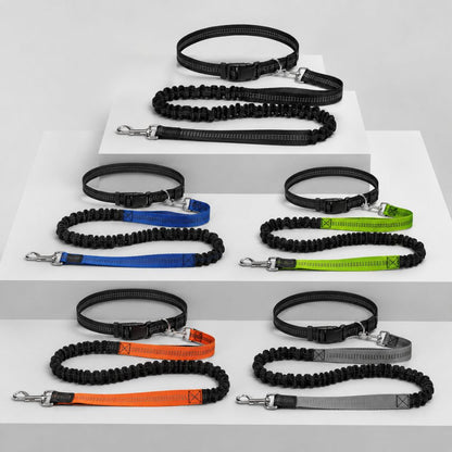 laisse mains libres pour chien présentée sur un support en cinq couleurs avec ceinture et sangle élastique visibles