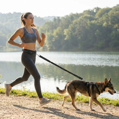 femme faisant du running avec une laisse mains libres pour chien fixée à la taille au bord d’un lac avec chien en mouvement