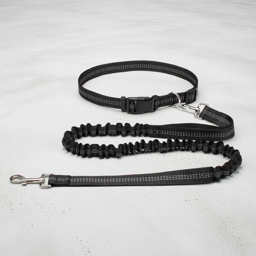 laisse mains libres pour chien noire