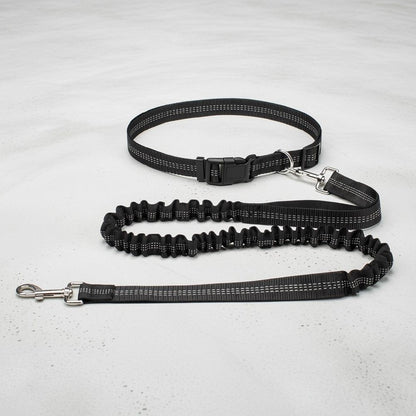 laisse mains libres pour chien noire