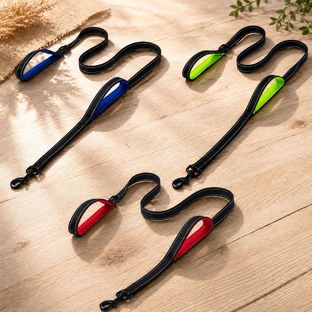 Laisse pour chien qui tire disponible en rouge, bleu et vert avec doubles poignées de contrôle premium