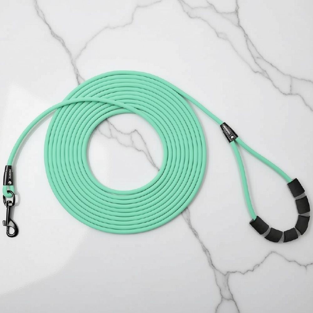 laisse pour chien vert menthe, légère