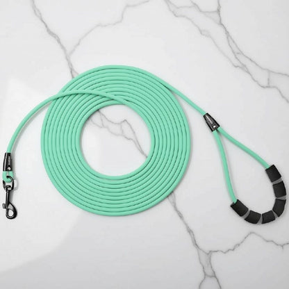 laisse pour chien vert menthe, légère