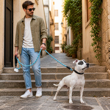 chien de grande taille tenu avec une laisse pour gros chien offrant contrôle et sécurité en ville