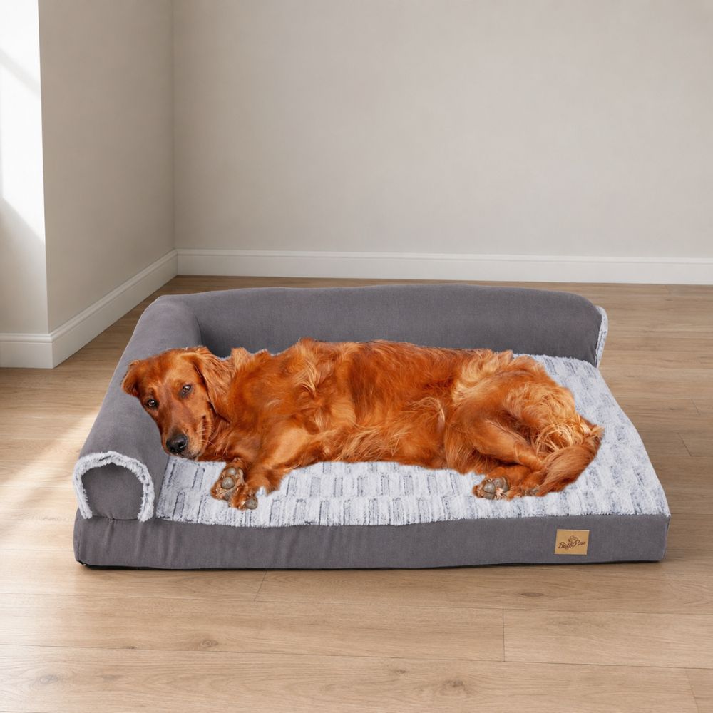 Grand chien au pelage roux, allongé sur le côté doux d'un lit pour chien orthopédique