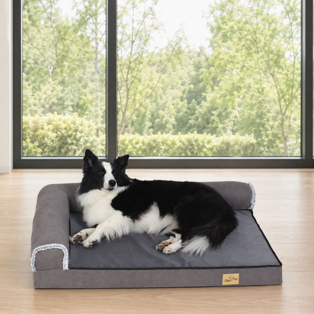 Border Collie couché sur la face en tissu résistant d'un lit pour chien orthopédique 