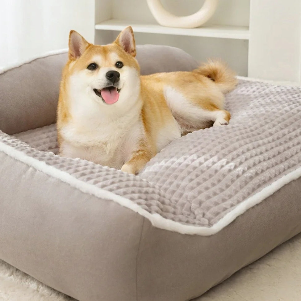 Shiba blotti dans un lit pour chien avec un rembourrage épais