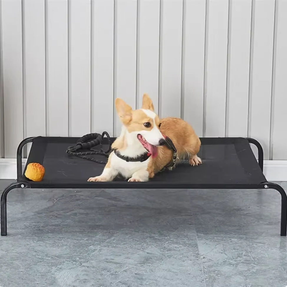 Corgi se repose sur un lit pour chien surélevé, circulation d’air, été
