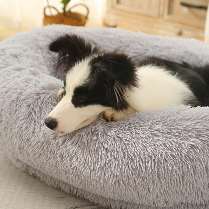 Border Collie endormi, tête posée sur un lit pour chien XXL doux