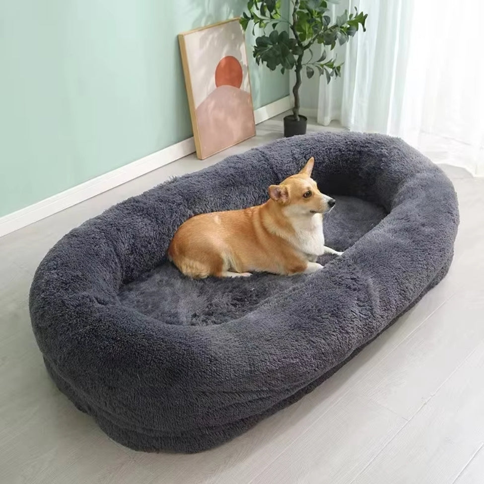 chien installé dans lit pour chien XXL gris foncé, en attente de quelqu'un