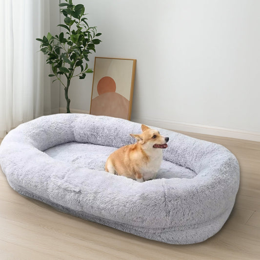 Shiba assis confortablement sur un lit pour chien XXL moderne, salon