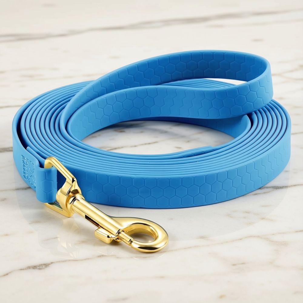 Longe chien de couleur bleue, présentée seule sur un fond clair, produit seul