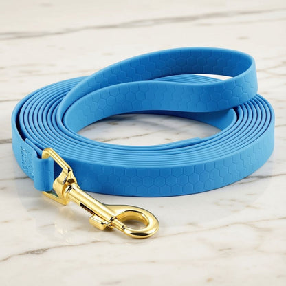 Longe chien de couleur bleue, présentée seule sur un fond clair, produit seul