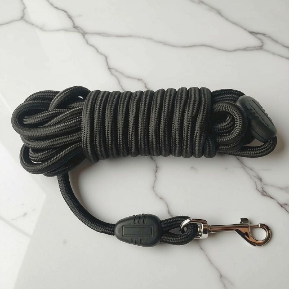 longe pour chien noire en nylon tressé multicouche