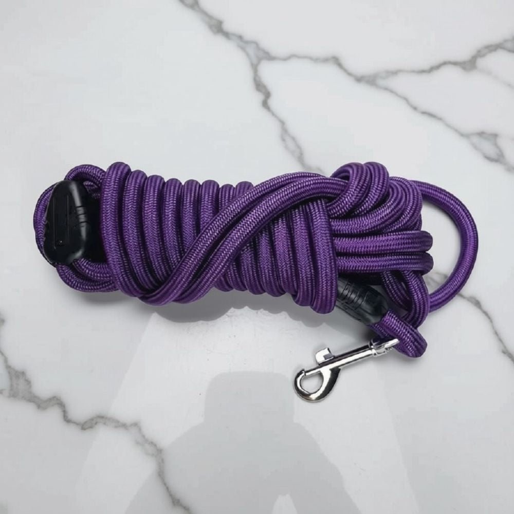longe pour chien violette, produit seul sur fond clair