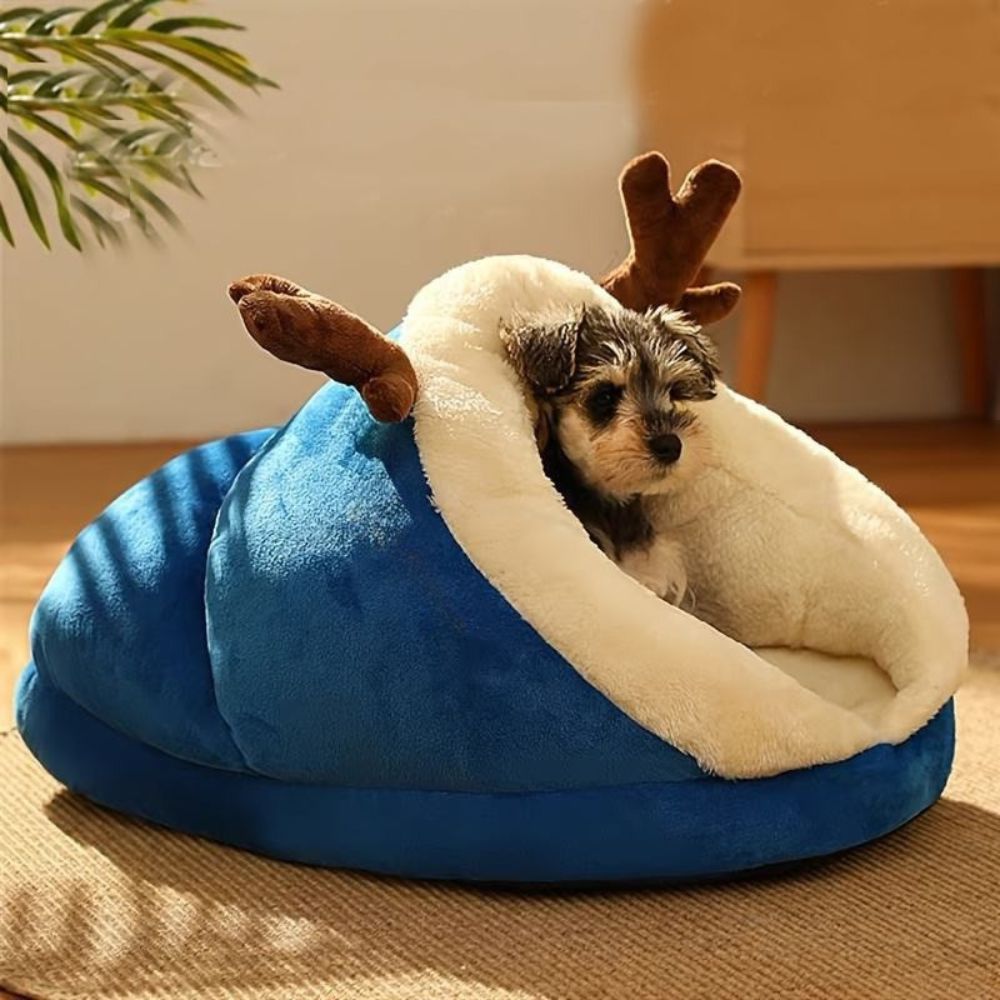 Schnauzer assis dans une maisonnette chien bleue avec décor cornes de cerf