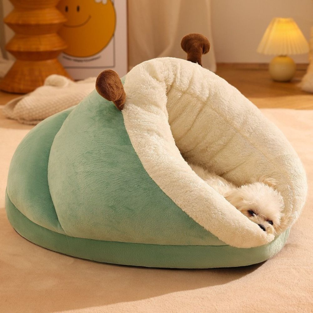 Bichon dort dans une maisonnette chien verte, tête posée sur le rebord