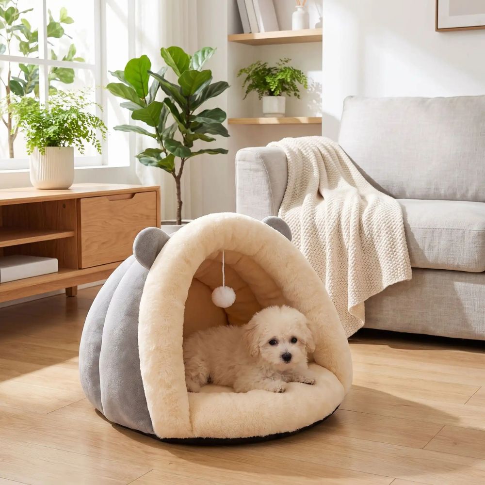 Chiot couché dans une niche chien intérieur grise en salon lumineux