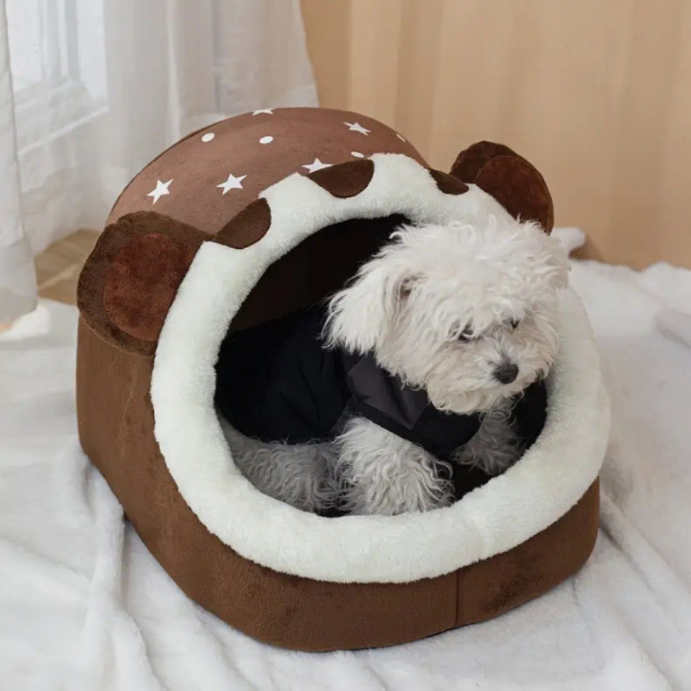 Petit chien observe curieusement depuis sa niche chien intérieur 