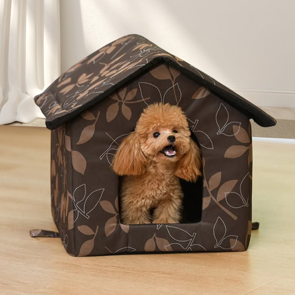 Petit caniche aboie depuis sa niche pour chien intérieur