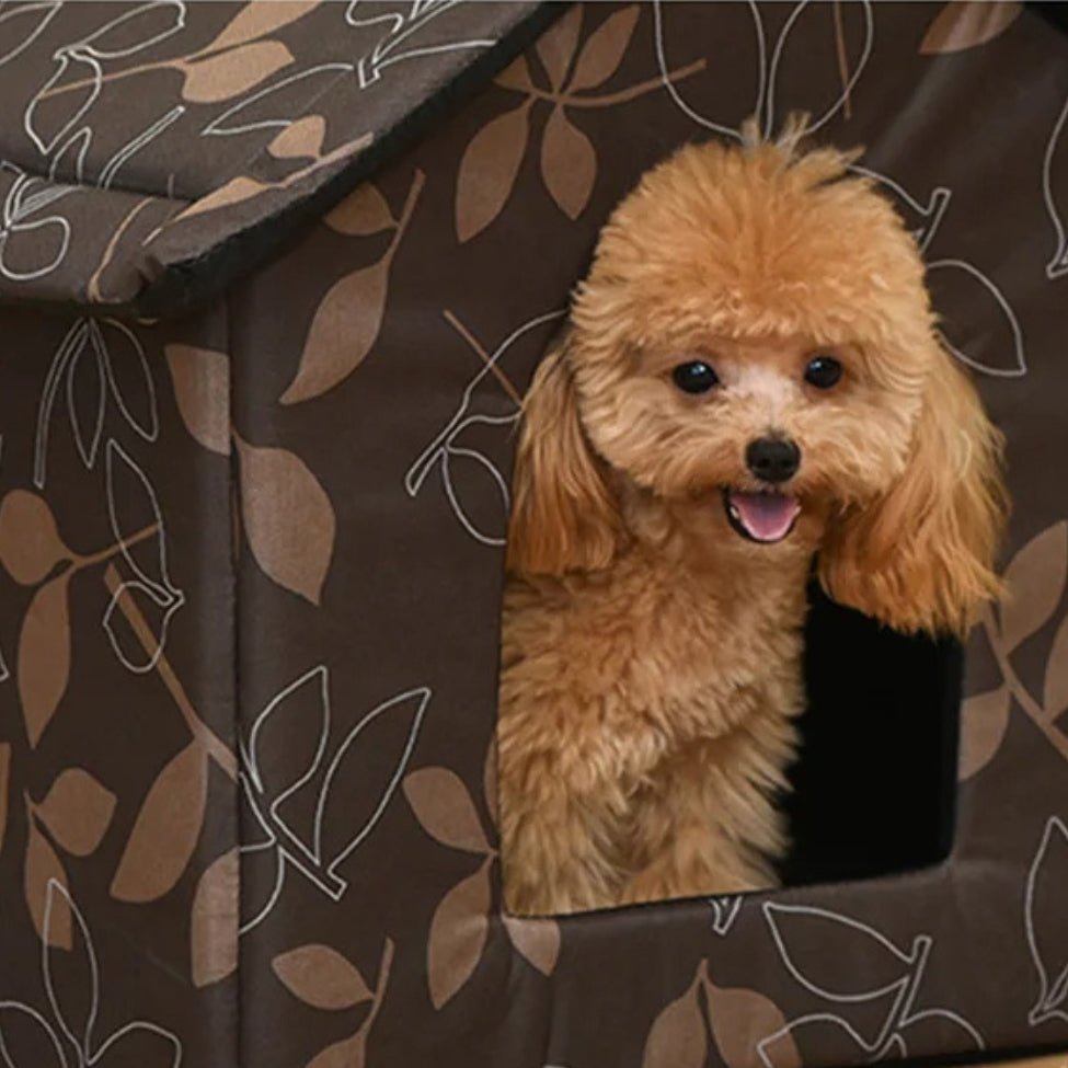 Caniche observe depuis sa niche pour chien intérieur