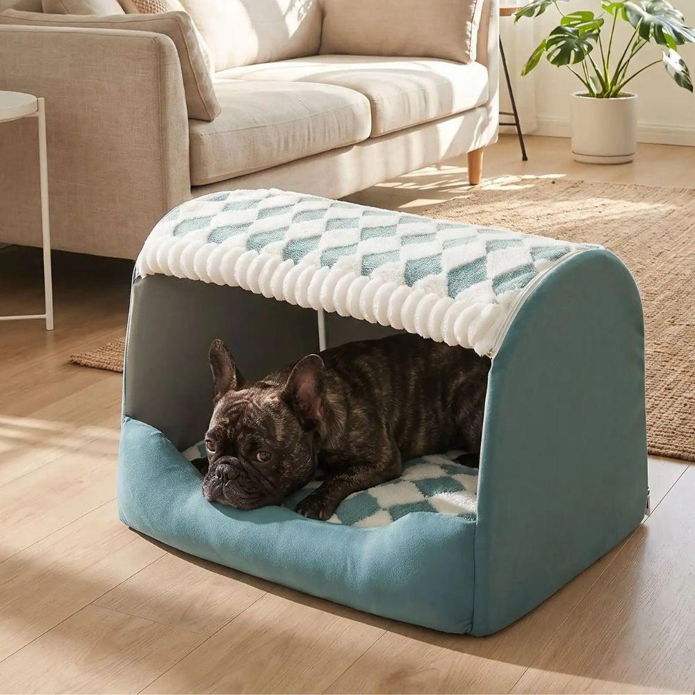 Bouledogue français installé dans une niche pour chien intérieur verte