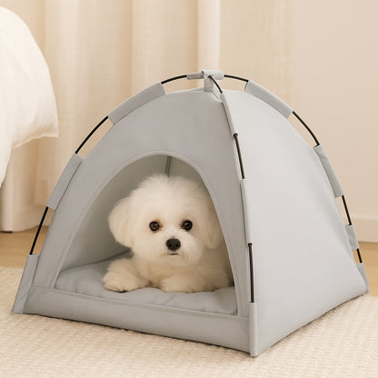Bichon regarde curieusement depuis sa niche pour petit chien, dans la chambre