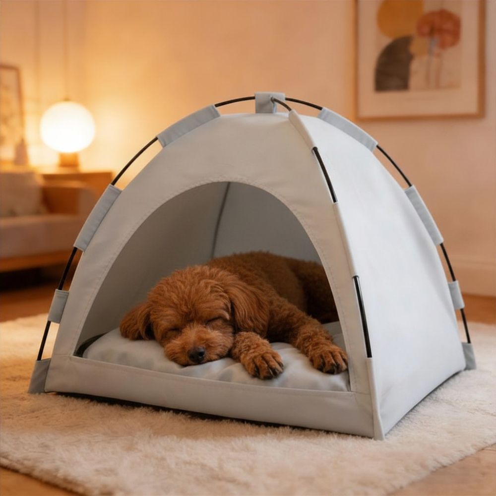 Caniche endormi dans une niche pour petit chien gris clair