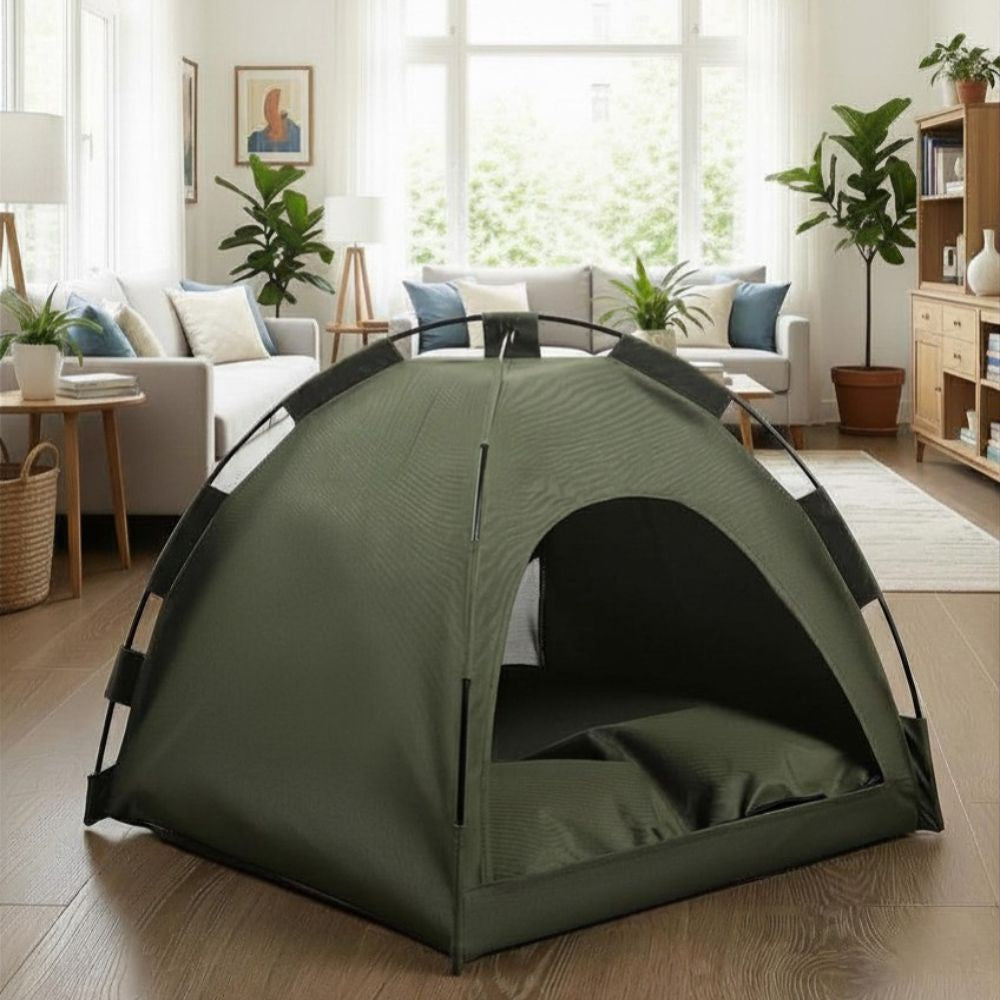Niche pour petit chien vert vue de face dans un salon lumineux