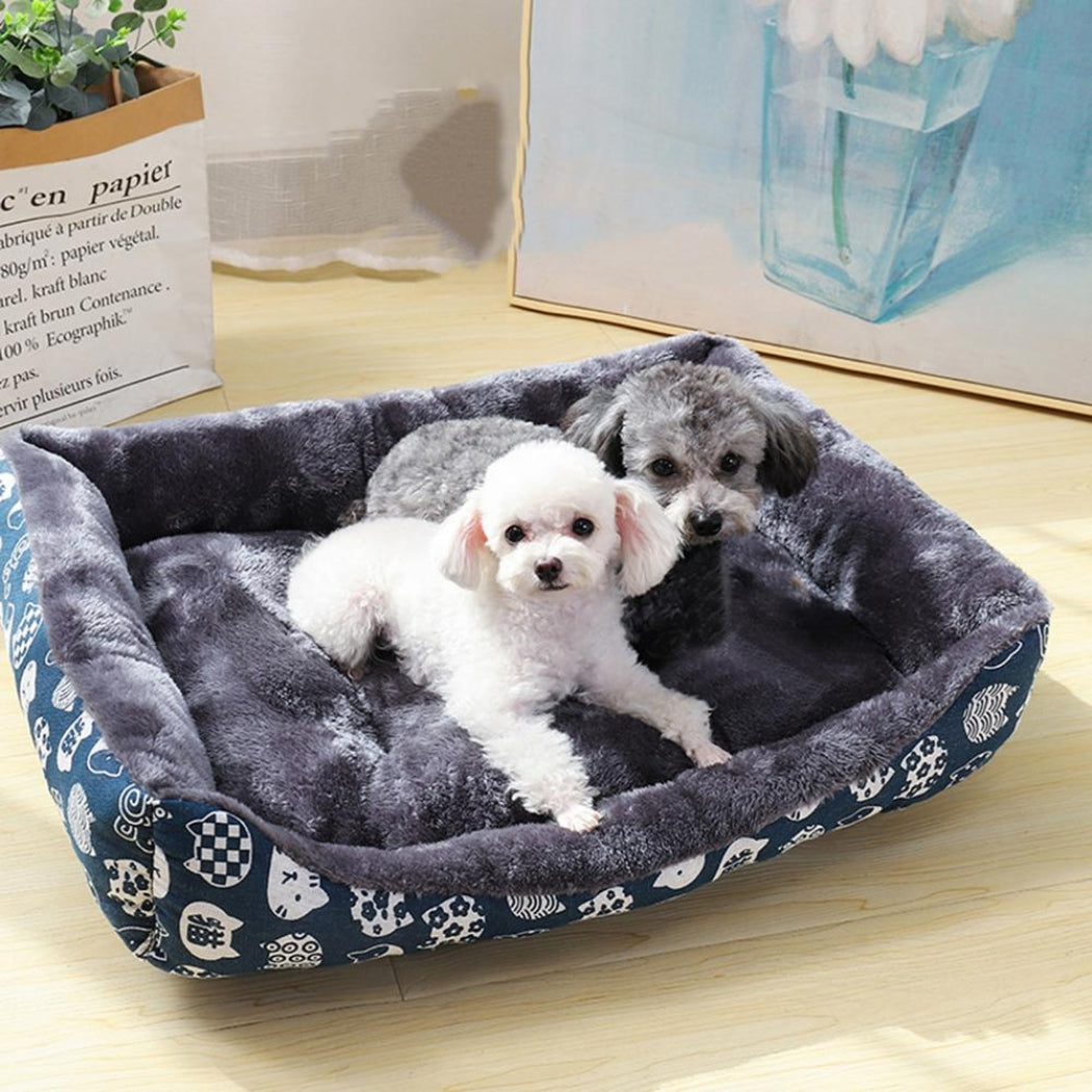 panier-a-chien-bleu-cartoon-li