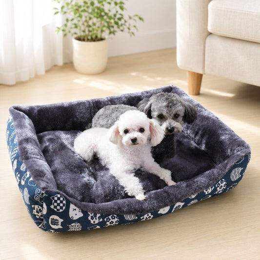 Deux petits chiens installés ensemble dans un panier à chien bleu