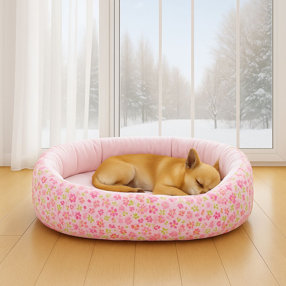 Petit chihuahua dort paisiblement au chaud dans son panier chien lavable, ambiance hivernale
