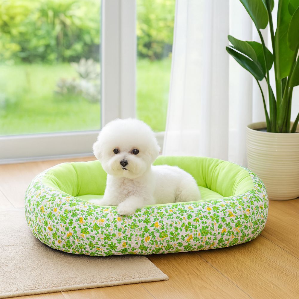 Bichon posant sa patte sur un panier chien lavable vert, ambiance printanière apaisante
